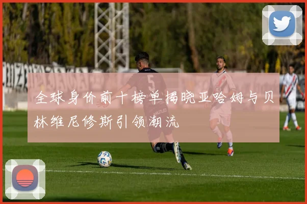 全球身价前十榜单揭晓亚哈姆与贝林维尼修斯引领潮流