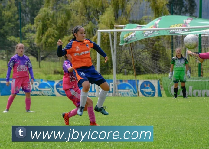 金贝娱乐平台生态图